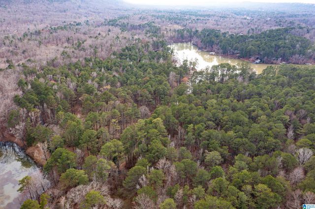 958 SMYER LAKE ROAD, Leeds, AL 35094