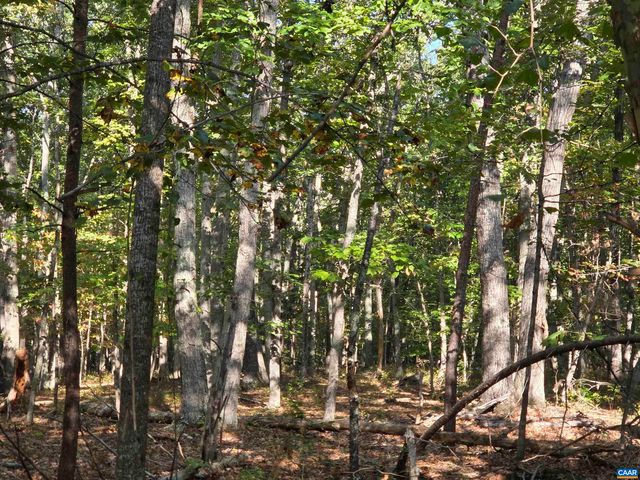 388 MAHANES RD, Gordonsville, VA 22942