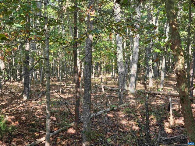 388 MAHANES RD, Gordonsville, VA 22942