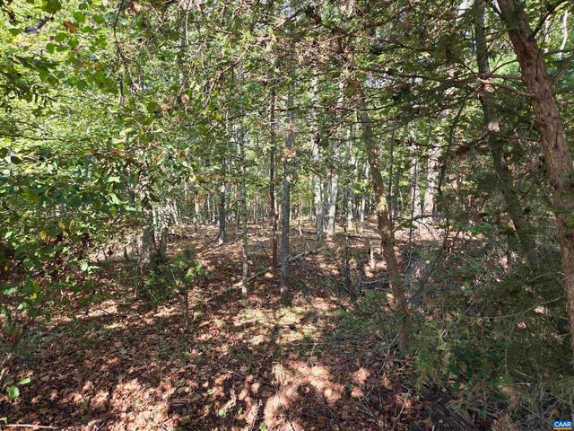 388 MAHANES RD, Gordonsville, VA 22942