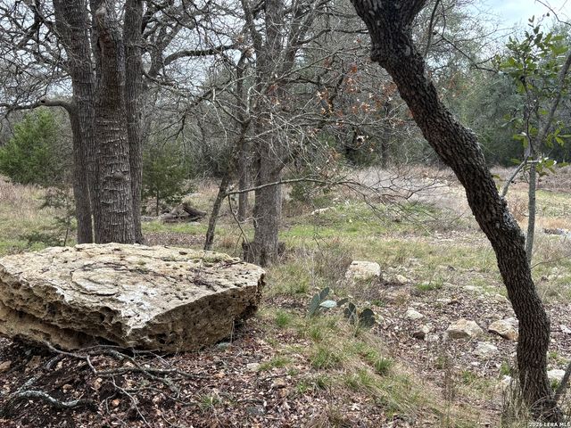 30685 Rice, Bulverde, TX 78163