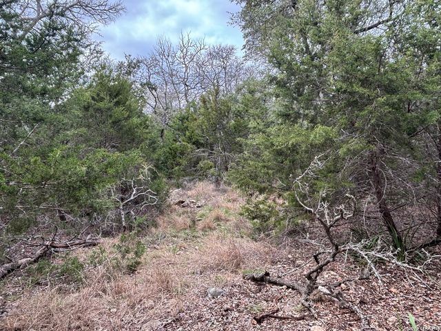 30685 Rice, Bulverde, TX 78163