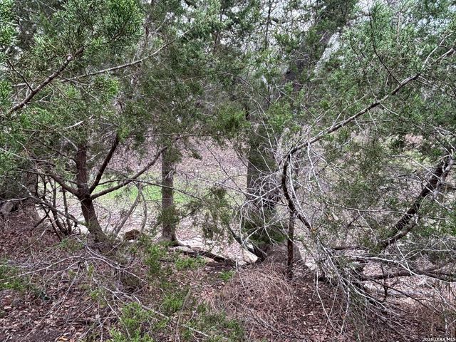 30685 Rice, Bulverde, TX 78163