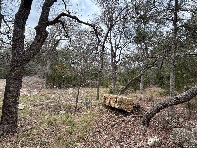 30685 Rice, Bulverde, TX 78163