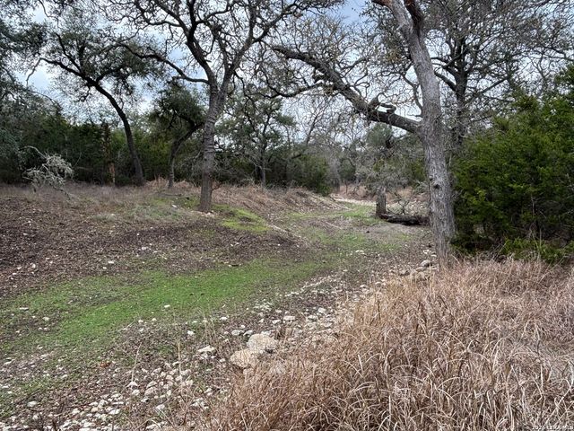 30685 Rice, Bulverde, TX 78163