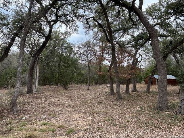 30685 Rice, Bulverde, TX 78163