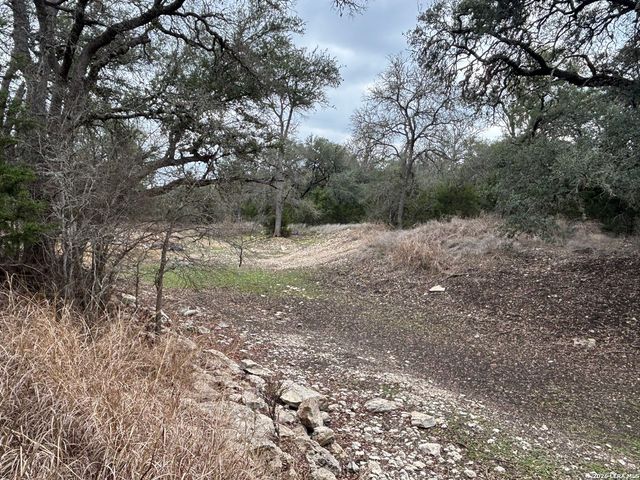 30685 Rice, Bulverde, TX 78163