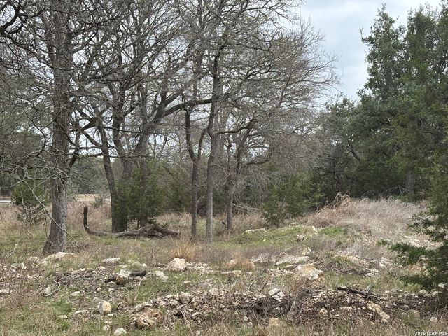 30685 Rice, Bulverde, TX 78163