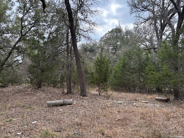 30685 Rice, Bulverde, TX 78163