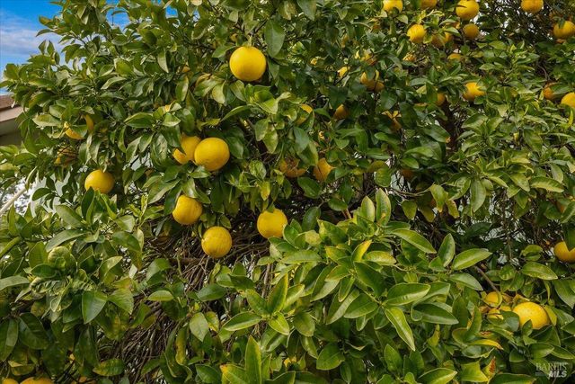 910-920 Lytton Springs Rd, Healdsburg, CA 95448