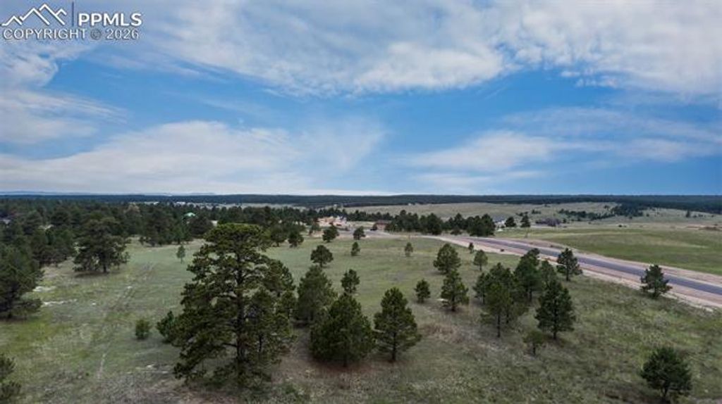 11809 Flap Jack Lane, Colorado Springs, CO 80908 — photo 5