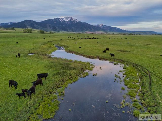 536 Ranger Station, Swan Valley, ID 83449