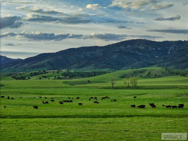 536 Ranger Station, Swan Valley, ID 83449