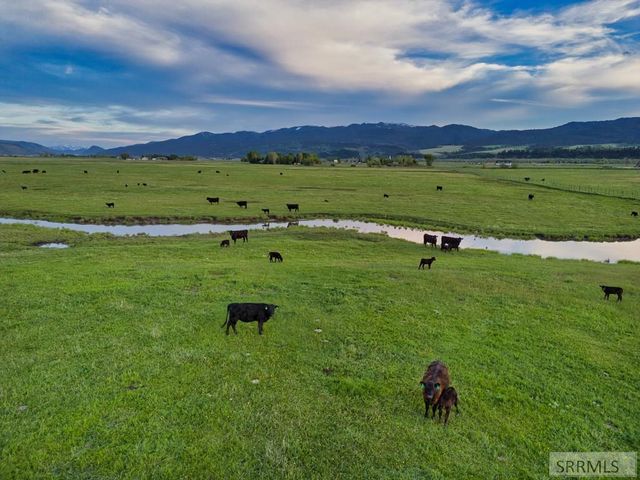 536 Ranger Station, Swan Valley, ID 83449