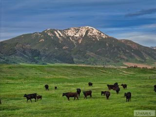 536 Ranger Station, Swan Valley, ID 83449