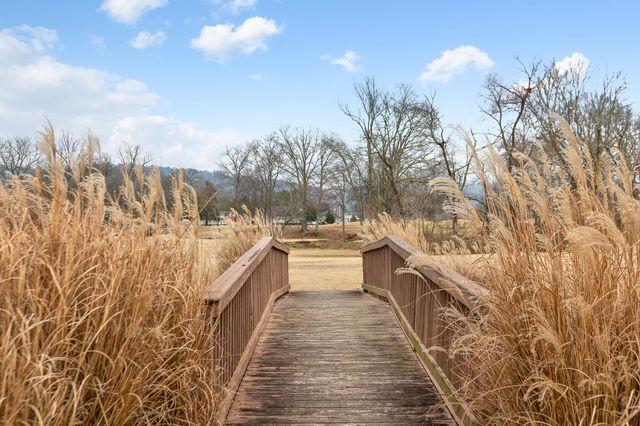 174 Lonesome Dove Lane, Ringgold, GA 30736