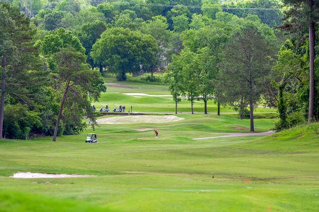 174 Lonesome Dove Lane, Ringgold, GA 30736