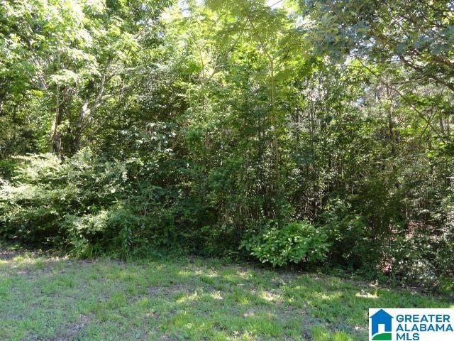 3291 HILLCREST PLACE, Adamsville, AL 35005