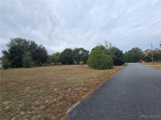 TBD SE 195 Place, Dunnellon, FL 34431