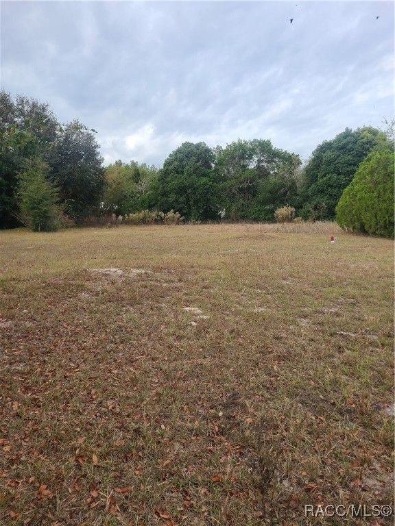TBD SE 195 Place, Dunnellon, FL 34431