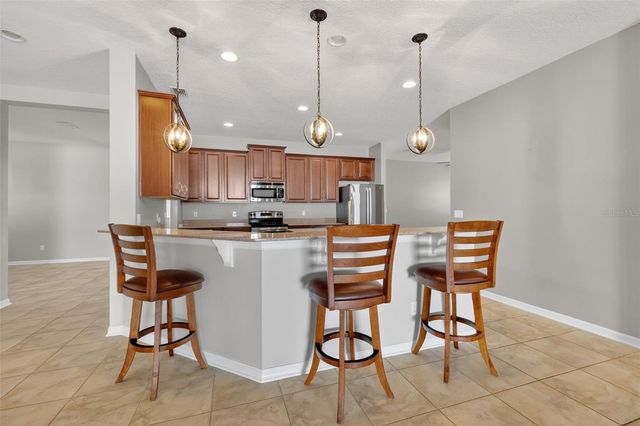 2451 PLUMADORE DRIVE, Grand Island, FL 32735