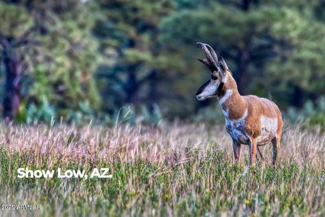 4520 W TATANKA Loop A5, Show Low, AZ 85901