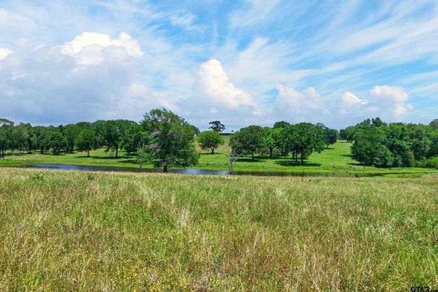 1053 ACR 499, Athens, TX 75751