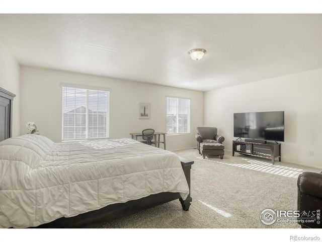 1690 Whiteley Drive, Windsor, CO 80550