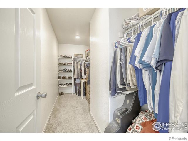 1690 Whiteley Drive, Windsor, CO 80550