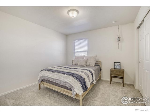 1690 Whiteley Drive, Windsor, CO 80550