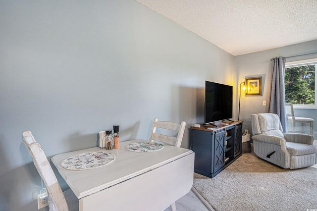 1460 Blue Tree Ct Unit E, Myrtle Beach, SC 29588