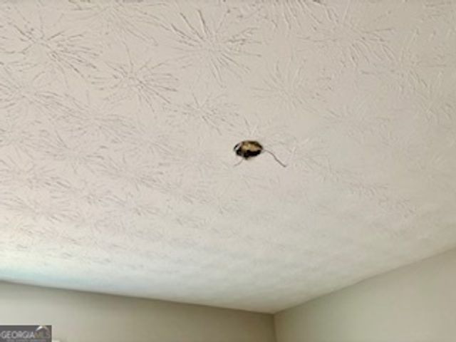 6460 CONNELL Road, Atlanta, GA 30349