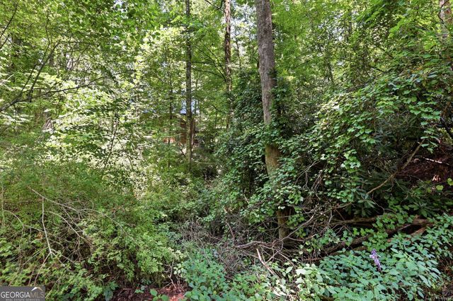 118 Brenda Lane, Clayton, GA 30525