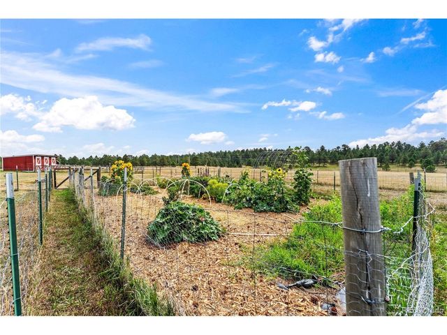 15685 Softwood Rd, Elbert, CO 80106