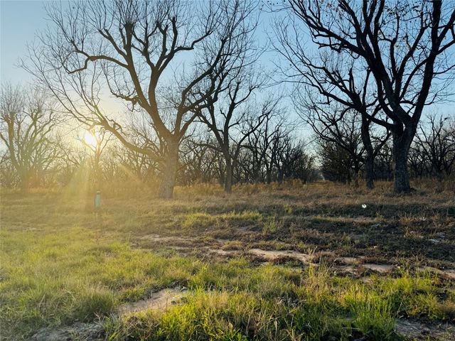 2519 Buckskin Drive, Granbury, TX 76049