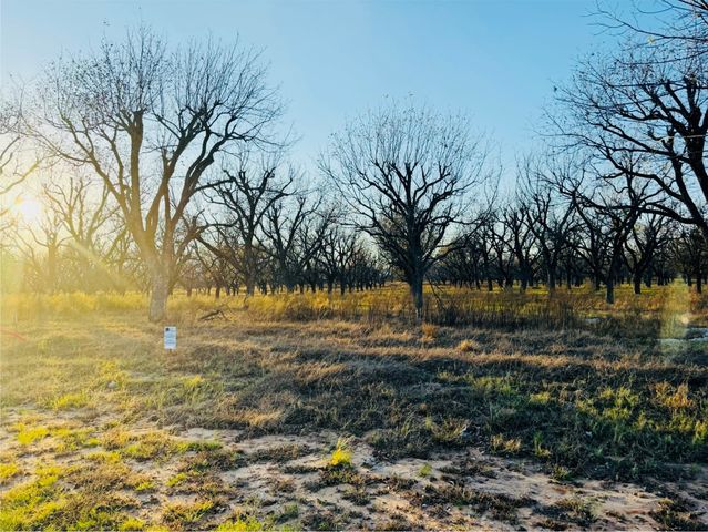 2519 Buckskin Drive, Granbury, TX 76049