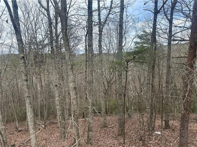 0 Mulberry Court, Jasper, GA 30143