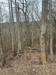 0 Mulberry Court, Jasper, GA 30143