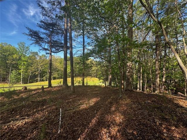 2658 Sconti View Drive, Big Canoe, GA 30143