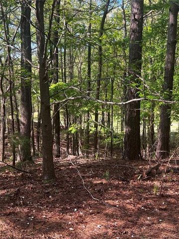2658 Sconti View Drive, Big Canoe, GA 30143