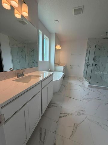 5197 PRAIRIE PRESERVE RUN, St Cloud, FL 34772