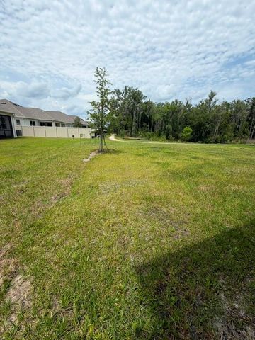 5197 PRAIRIE PRESERVE RUN, St Cloud, FL 34772