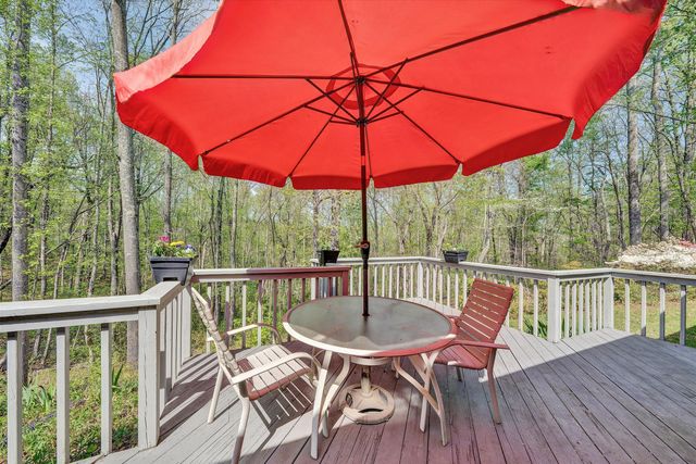 1124 Old Hollow RD, Buchanan, VA 24066