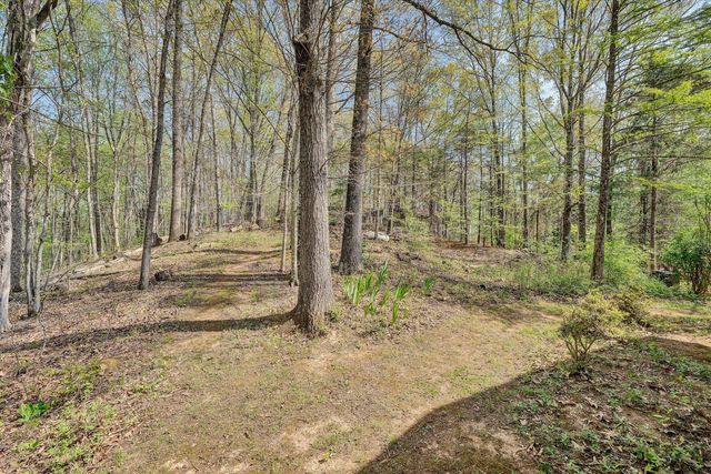 1124 Old Hollow RD, Buchanan, VA 24066