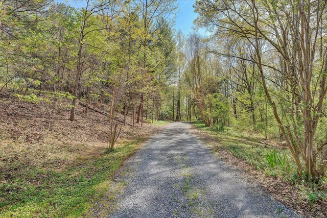 1124 Old Hollow RD, Buchanan, VA 24066