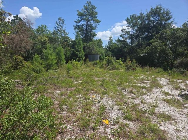 45560 GEORGIA STREET, Paisley, FL 32767