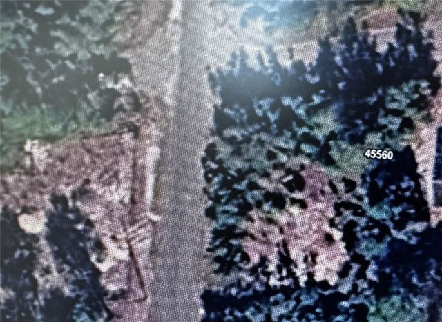 45560 GEORGIA STREET, Paisley, FL 32767