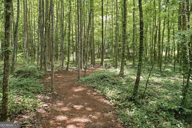 5860 Climbing Rose Way, Cumming, GA 30041