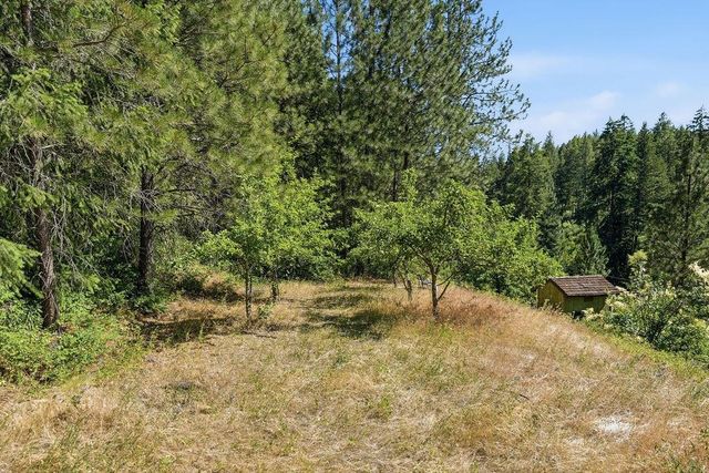 17118 N Dunn Rd, Mead, WA 99021