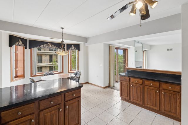 11901 Windemere Court 301, Orland Park, IL 60467
